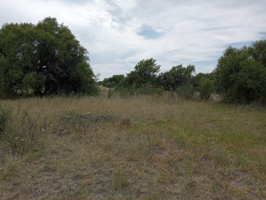 Commercial Property for Sale in Reivilo Rural North West